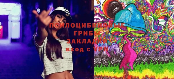 2c-b Лихославль