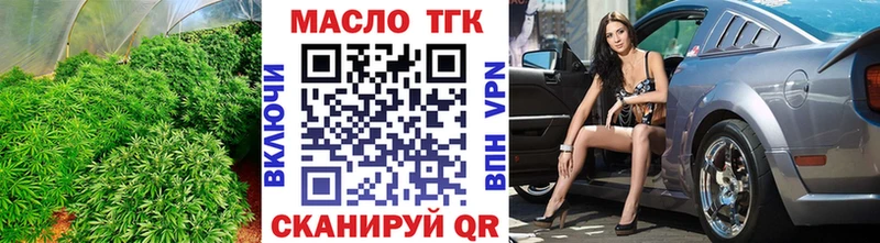 ТГК гашишное масло  mega ССЫЛКА  Ревда 