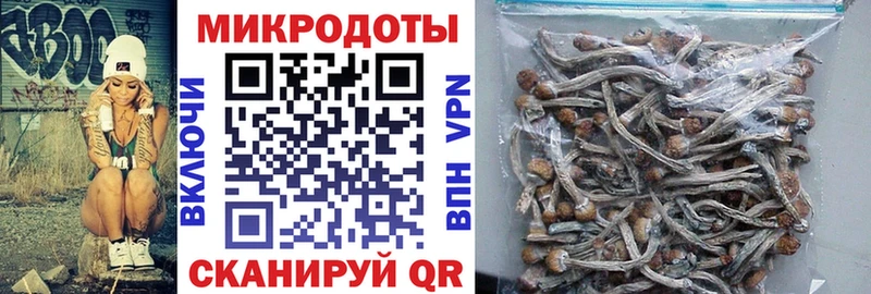 Псилоцибиновые грибы MAGIC MUSHROOMS  хочу   Ревда 
